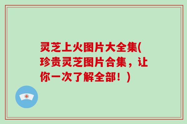 灵芝上火图片大全集(珍贵灵芝图片合集,让你一次了解全部!)-第1张图片-破壁灵芝孢子粉研究指南 灵芝上火图片大全集(珍贵灵芝图片合集,让你一次了解全部!)-第1张图片-破壁灵芝孢子粉研究指南