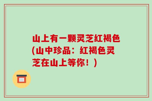 山上有一颗灵芝红褐色(山中珍品:红褐色灵芝在山上等你!)-第1张图片-破壁灵芝孢子粉研究指南 山上有一颗灵芝红褐色(山中珍品:红褐色灵芝在山上等你!)-第1张图片-破壁灵芝孢子粉研究指南