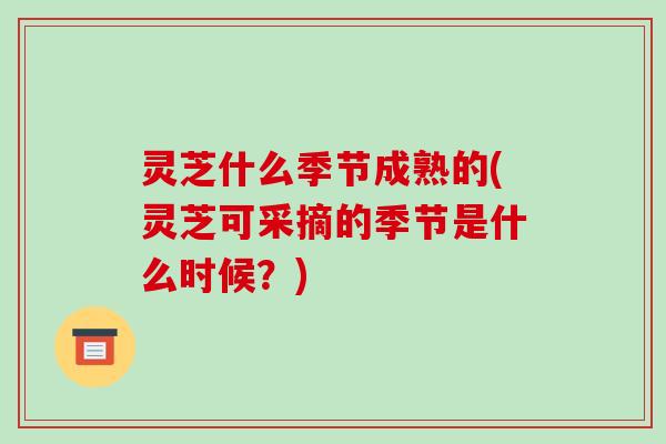 灵芝什么季节成熟的(灵芝可采摘的季节是什么时候?)-第1张图片-破壁灵芝孢子粉研究指南 灵芝什么季节成熟的(灵芝可采摘的季节是什么时候?)-第1张图片-破壁灵芝孢子粉研究指南
