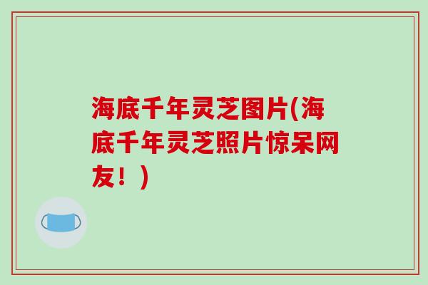 海底千年灵芝图片(海底千年灵芝照片惊呆网友!)-第1张图片-破壁灵芝孢子粉研究指南 海底千年灵芝图片(海底千年灵芝照片惊呆网友!)-第1张图片-破壁灵芝孢子粉研究指南