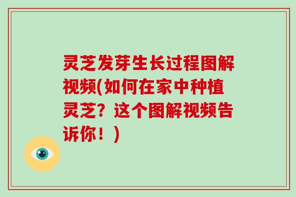 灵芝发芽生长过程图解视频(如何在家中种植灵芝?这个图解视频告诉你!)-第1张图片-破壁灵芝孢子粉研究指南 灵芝发芽生长过程图解视频(如何在家中种植灵芝?这个图解视频告诉你!)-第1张图片-破壁灵芝孢子粉研究指南