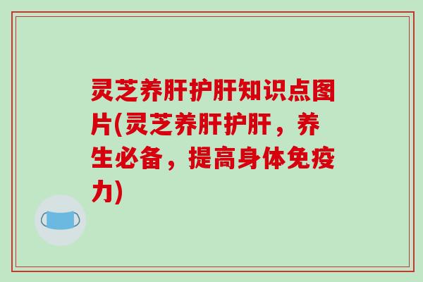 灵芝养肝护肝知识点图片(灵芝养肝护肝,养生必备,提高身体免疫力)-第1张图片-破壁灵芝孢子粉研究指南 灵芝养肝护肝知识点图片(灵芝养肝护肝,养生必备,提高身体免疫力)-第1张图片-破壁灵芝孢子粉研究指南