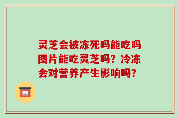 灵芝会被冻死吗能吃吗图片能吃灵芝吗?冷冻会对营养产生影响吗?-第1张图片-破壁灵芝孢子粉研究指南 灵芝会被冻死吗能吃吗图片能吃灵芝吗?冷冻会对营养产生影响吗?-第1张图片-破壁灵芝孢子粉研究指南