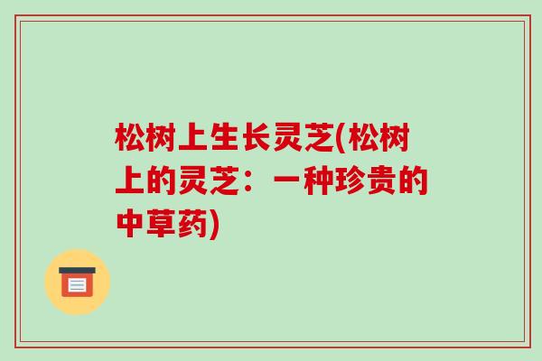 松树上生长灵芝(松树上的灵芝：一种珍贵的中草药)-第1张图片-破壁灵芝孢子粉研究指南