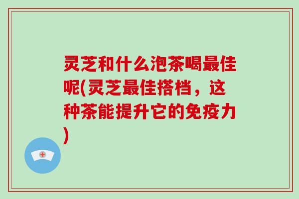 灵芝和什么泡茶喝最佳呢(灵芝最佳搭档，这种茶能提升它的免疫力)-第1张图片-破壁灵芝孢子粉研究指南