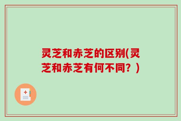 灵芝和赤芝的区别(灵芝和赤芝有何不同?)-第1张图片-破壁灵芝孢子粉研究指南 灵芝和赤芝的区别(灵芝和赤芝有何不同?)-第1张图片-破壁灵芝孢子粉研究指南