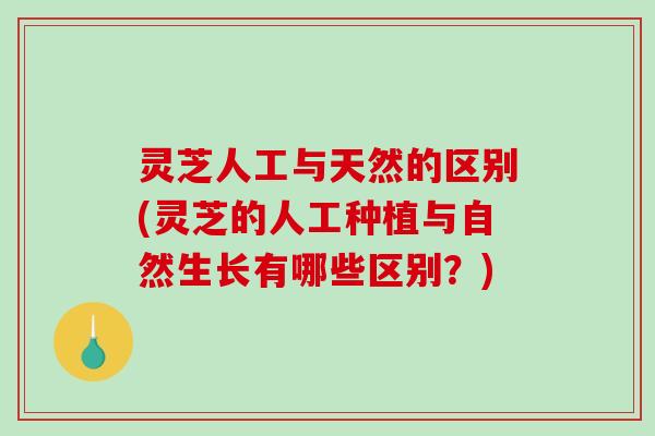 灵芝人工与天然的区别(灵芝的人工种植与自然生长有哪些区别?)-第1张图片-破壁灵芝孢子粉研究指南 灵芝人工与天然的区别(灵芝的人工种植与自然生长有哪些区别?)-第1张图片-破壁灵芝孢子粉研究指南