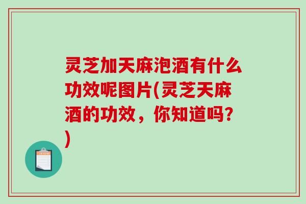 灵芝加天麻泡酒有什么功效呢图片(灵芝天麻酒的功效,你知道吗?)-第1张图片-破壁灵芝孢子粉研究指南 灵芝加天麻泡酒有什么功效呢图片(灵芝天麻酒的功效,你知道吗?)-第1张图片-破壁灵芝孢子粉研究指南