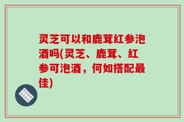 灵芝可以和鹿茸红参泡酒吗(灵芝、鹿茸、红参可泡酒，何如搭配最佳)-第1张图片-破壁灵芝孢子粉研究指南