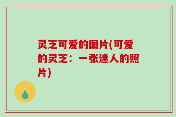灵芝可爱的图片(可爱的灵芝：一张迷人的照片)-第1张图片-破壁灵芝孢子粉研究指南