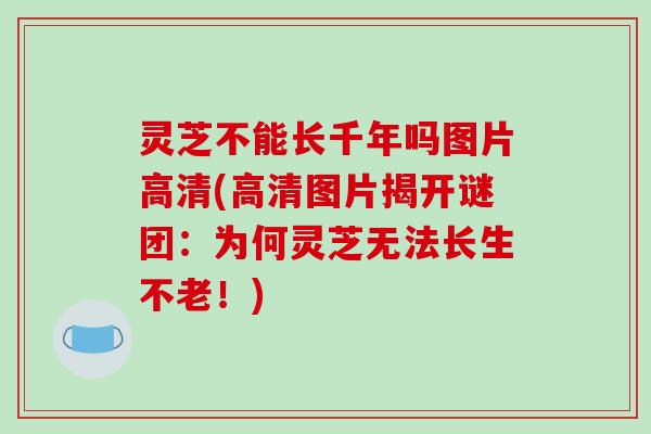 灵芝不能长千年吗图片高清(高清图片揭开谜团:为何灵芝无法长生不老!)-第1张图片-破壁灵芝孢子粉研究指南 灵芝不能长千年吗图片高清(高清图片揭开谜团:为何灵芝无法长生不老!)-第1张图片-破壁灵芝孢子粉研究指南