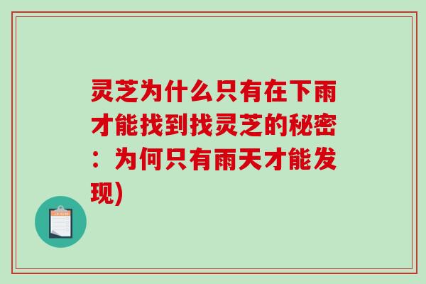 灵芝为什么只有在下雨才能找到找灵芝的秘密:为何只有雨天才能发现)-第1张图片-破壁灵芝孢子粉研究指南 灵芝为什么只有在下雨才能找到找灵芝的秘密:为何只有雨天才能发现)-第1张图片-破壁灵芝孢子粉研究指南