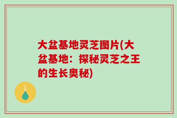 大盆基地灵芝图片(大盆基地:探秘灵芝之王的生长奥秘)-第1张图片-破壁灵芝孢子粉研究指南 大盆基地灵芝图片(大盆基地:探秘灵芝之王的生长奥秘)-第1张图片-破壁灵芝孢子粉研究指南
