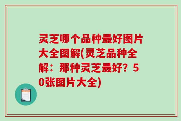 灵芝哪个品种最好图片大全图解(灵芝品种全解：那种灵芝最好？50张图片大全)-第1张图片-破壁灵芝孢子粉研究指南