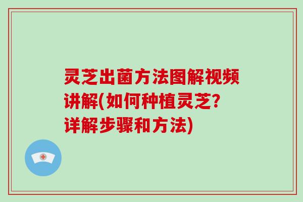 灵芝出菌方法图解视频讲解(如何种植灵芝?详解步骤和方法)-第1张图片-破壁灵芝孢子粉研究指南 灵芝出菌方法图解视频讲解(如何种植灵芝?详解步骤和方法)-第1张图片-破壁灵芝孢子粉研究指南