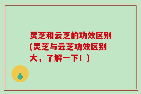 灵芝和云芝的功效区别(灵芝与云芝功效区别大,了解一下!)-第1张图片-破壁灵芝孢子粉研究指南 灵芝和云芝的功效区别(灵芝与云芝功效区别大,了解一下!)-第1张图片-破壁灵芝孢子粉研究指南