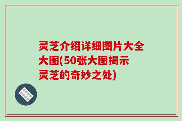 灵芝介绍详细图片大全大图(50张大图揭示灵芝的奇妙之处)-第1张图片-破壁灵芝孢子粉研究指南