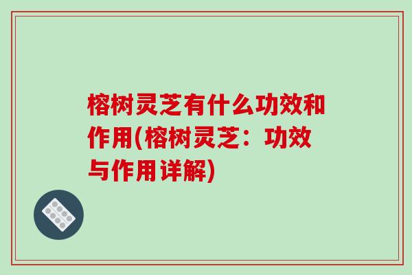 榕树灵芝有什么功效和作用(榕树灵芝:功效与作用详解)-第1张图片-破壁灵芝孢子粉研究指南 榕树灵芝有什么功效和作用(榕树灵芝:功效与作用详解)-第1张图片-破壁灵芝孢子粉研究指南