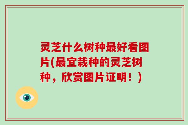 灵芝什么树种最好看图片(最宜栽种的灵芝树种,欣赏图片证明!)-第1张图片-破壁灵芝孢子粉研究指南 灵芝什么树种最好看图片(最宜栽种的灵芝树种,欣赏图片证明!)-第1张图片-破壁灵芝孢子粉研究指南