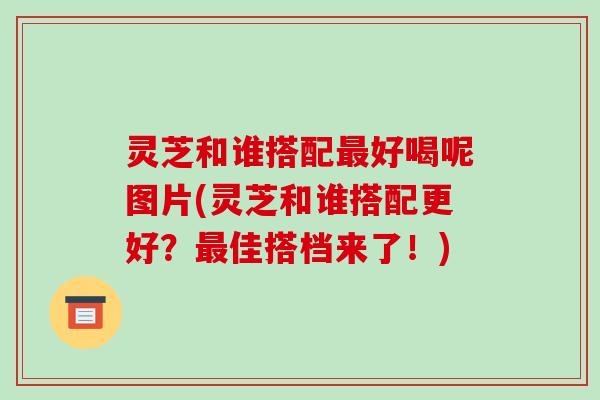灵芝和谁搭配最好喝呢图片(灵芝和谁搭配更好?最佳搭档来了!)-第1张图片-破壁灵芝孢子粉研究指南 灵芝和谁搭配最好喝呢图片(灵芝和谁搭配更好?最佳搭档来了!)-第1张图片-破壁灵芝孢子粉研究指南