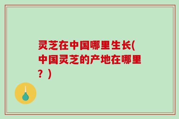 灵芝在中国哪里生长(中国灵芝的产地在哪里?)-第1张图片-破壁灵芝孢子粉研究指南 灵芝在中国哪里生长(中国灵芝的产地在哪里?)-第1张图片-破壁灵芝孢子粉研究指南