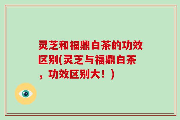 灵芝和福鼎白茶的功效区别(灵芝与福鼎白茶，功效区别大！)-第1张图片-破壁灵芝孢子粉研究指南