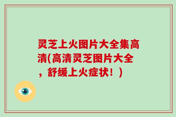 灵芝上火图片大全集高清(高清灵芝图片大全,舒缓上火症状!)-第1张图片-破壁灵芝孢子粉研究指南 灵芝上火图片大全集高清(高清灵芝图片大全,舒缓上火症状!)-第1张图片-破壁灵芝孢子粉研究指南