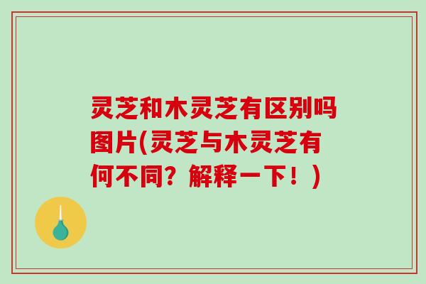 灵芝和木灵芝有区别吗图片(灵芝与木灵芝有何不同?解释一下!)-第1张图片-破壁灵芝孢子粉研究指南 灵芝和木灵芝有区别吗图片(灵芝与木灵芝有何不同?解释一下!)-第1张图片-破壁灵芝孢子粉研究指南