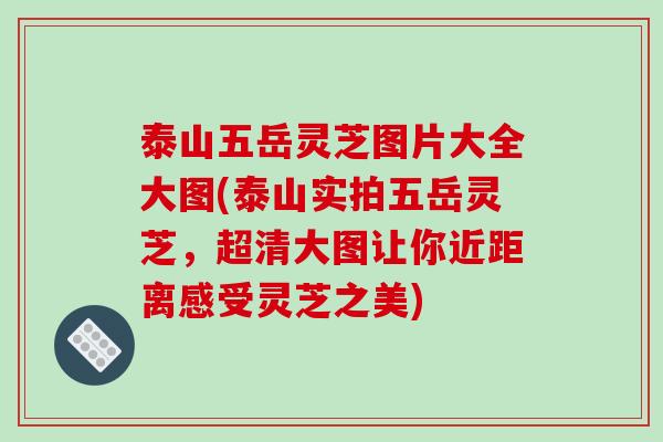 泰山五岳灵芝图片大全大图(泰山实拍五岳灵芝，超清大图让你近距离感受灵芝之美)-第1张图片-破壁灵芝孢子粉研究指南