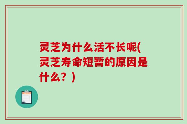 灵芝为什么活不长呢(灵芝寿命短暂的原因是什么?)-第1张图片-破壁灵芝孢子粉研究指南 灵芝为什么活不长呢(灵芝寿命短暂的原因是什么?)-第1张图片-破壁灵芝孢子粉研究指南