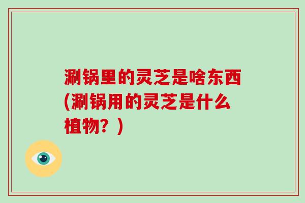 涮锅里的灵芝是啥东西(涮锅用的灵芝是什么植物?)-第1张图片-破壁灵芝孢子粉研究指南 涮锅里的灵芝是啥东西(涮锅用的灵芝是什么植物?)-第1张图片-破壁灵芝孢子粉研究指南