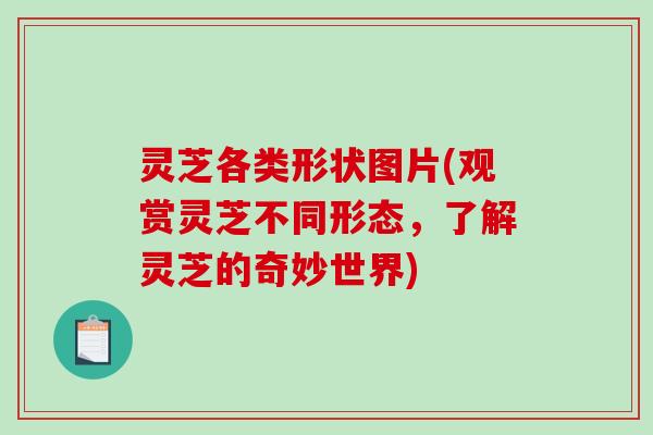 灵芝各类形状图片(观赏灵芝不同形态，了解灵芝的奇妙世界)-第1张图片-破壁灵芝孢子粉研究指南