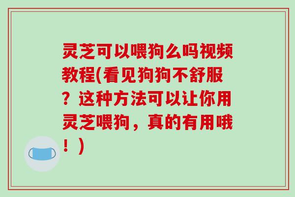 灵芝可以喂狗么吗视频教程(看见狗狗不舒服?这种方法可以让你用灵芝喂狗,真的有用哦!)-第1张图片-破壁灵芝孢子粉研究指南 灵芝可以喂狗么吗视频教程(看见狗狗不舒服?这种方法可以让你用灵芝喂狗,真的有用哦!)-第1张图片-破壁灵芝孢子粉研究指南