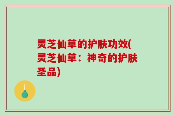 灵芝仙草的护肤功效(灵芝仙草：神奇的护肤圣品)-第1张图片-破壁灵芝孢子粉研究指南