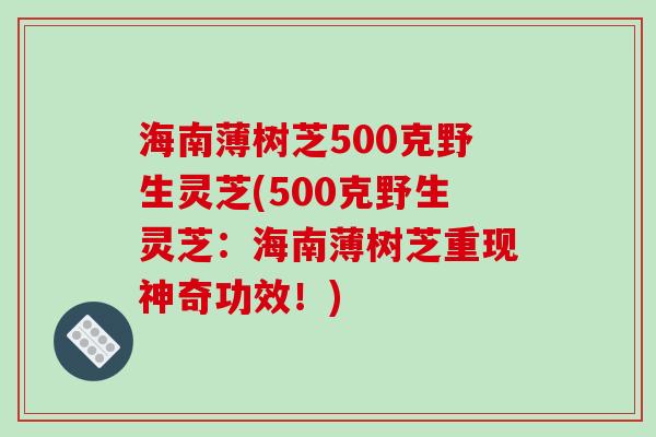 海南薄树芝500克野生灵芝(500克野生灵芝:海南薄树芝重现神奇功效!)-第1张图片-破壁灵芝孢子粉研究指南 海南薄树芝500克野生灵芝(500克野生灵芝:海南薄树芝重现神奇功效!)-第1张图片-破壁灵芝孢子粉研究指南