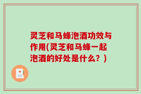 灵芝和马蜂泡酒功效与作用(灵芝和马蜂一起泡酒的好处是什么?)-第1张图片-破壁灵芝孢子粉研究指南 灵芝和马蜂泡酒功效与作用(灵芝和马蜂一起泡酒的好处是什么?)-第1张图片-破壁灵芝孢子粉研究指南