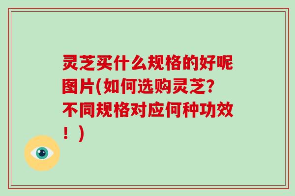 灵芝买什么规格的好呢图片(如何选购灵芝?不同规格对应何种功效!)-第1张图片-破壁灵芝孢子粉研究指南 灵芝买什么规格的好呢图片(如何选购灵芝?不同规格对应何种功效!)-第1张图片-破壁灵芝孢子粉研究指南