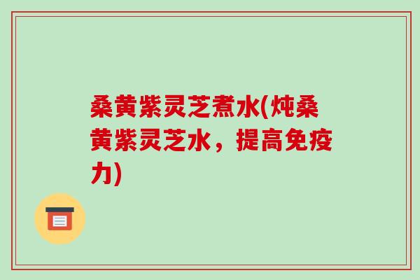 桑黄紫灵芝煮水(炖桑黄紫灵芝水，提高免疫力)-第1张图片-破壁灵芝孢子粉研究指南