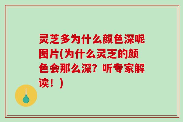 灵芝多为什么颜色深呢图片(为什么灵芝的颜色会那么深?听专家解读!)-第1张图片-破壁灵芝孢子粉研究指南 灵芝多为什么颜色深呢图片(为什么灵芝的颜色会那么深?听专家解读!)-第1张图片-破壁灵芝孢子粉研究指南