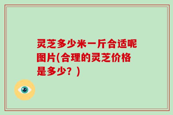 灵芝多少米一斤合适呢图片(合理的灵芝价格是多少?)-第1张图片-破壁灵芝孢子粉研究指南 灵芝多少米一斤合适呢图片(合理的灵芝价格是多少?)-第1张图片-破壁灵芝孢子粉研究指南