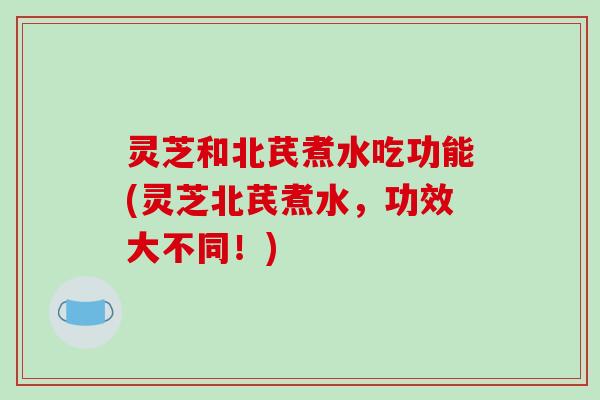 灵芝和北芪煮水吃功能(灵芝北芪煮水,功效大不同!)-第1张图片-破壁灵芝孢子粉研究指南 灵芝和北芪煮水吃功能(灵芝北芪煮水,功效大不同!)-第1张图片-破壁灵芝孢子粉研究指南