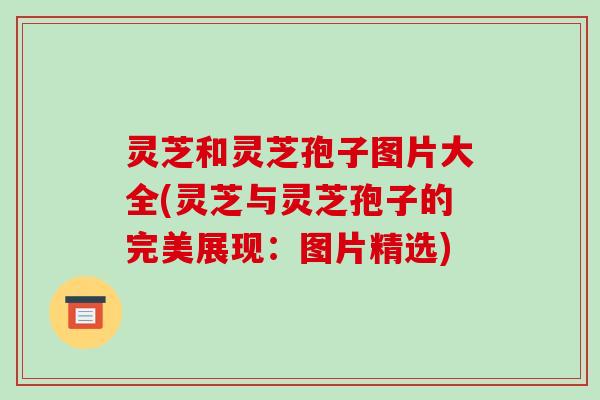 灵芝和灵芝孢子图片大全(灵芝与灵芝孢子的完美展现:图片精选)-第1张图片-破壁灵芝孢子粉研究指南 灵芝和灵芝孢子图片大全(灵芝与灵芝孢子的完美展现:图片精选)-第1张图片-破壁灵芝孢子粉研究指南