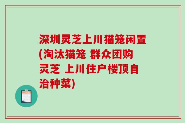 深圳灵芝上川猫笼闲置(淘汰猫笼 群众团购灵芝 上川住户楼顶自治种菜)-第1张图片-破壁灵芝孢子粉研究指南 深圳灵芝上川猫笼闲置(淘汰猫笼 群众团购灵芝 上川住户楼顶自治种菜)-第1张图片-破壁灵芝孢子粉研究指南