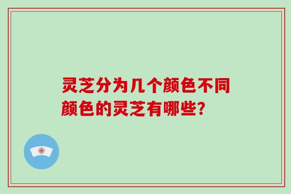 灵芝分为几个颜色不同颜色的灵芝有哪些?-第1张图片-破壁灵芝孢子粉研究指南 灵芝分为几个颜色不同颜色的灵芝有哪些?-第1张图片-破壁灵芝孢子粉研究指南