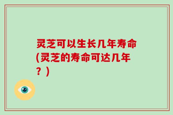 灵芝可以生长几年寿命(灵芝的寿命可达几年?)-第1张图片-破壁灵芝孢子粉研究指南 灵芝可以生长几年寿命(灵芝的寿命可达几年?)-第1张图片-破壁灵芝孢子粉研究指南