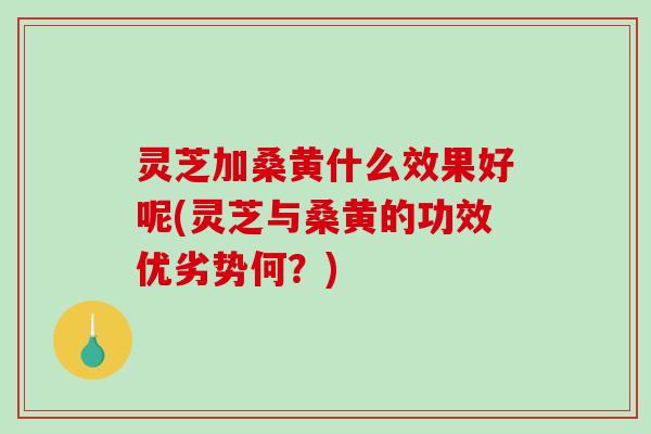 灵芝加桑黄什么效果好呢(灵芝与桑黄的功效优劣势何?)-第1张图片-破壁灵芝孢子粉研究指南 灵芝加桑黄什么效果好呢(灵芝与桑黄的功效优劣势何?)-第1张图片-破壁灵芝孢子粉研究指南