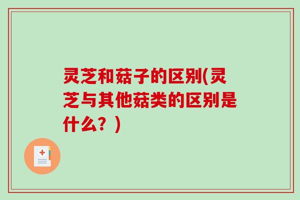灵芝和菇子的区别(灵芝与其他菇类的区别是什么?)-第1张图片-破壁灵芝孢子粉研究指南 灵芝和菇子的区别(灵芝与其他菇类的区别是什么?)-第1张图片-破壁灵芝孢子粉研究指南