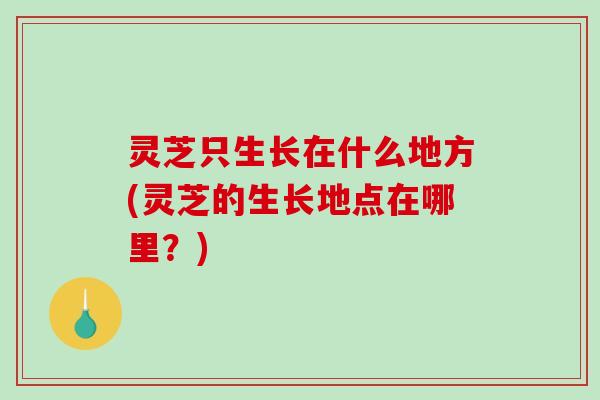 灵芝只生长在什么地方(灵芝的生长地点在哪里?)-第1张图片-破壁灵芝孢子粉研究指南 灵芝只生长在什么地方(灵芝的生长地点在哪里?)-第1张图片-破壁灵芝孢子粉研究指南