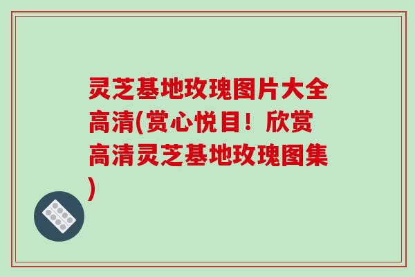 灵芝基地玫瑰图片大全高清(赏心悦目!欣赏高清灵芝基地玫瑰图集)-第1张图片-破壁灵芝孢子粉研究指南 灵芝基地玫瑰图片大全高清(赏心悦目!欣赏高清灵芝基地玫瑰图集)-第1张图片-破壁灵芝孢子粉研究指南