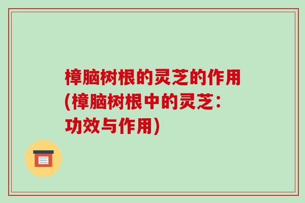樟脑树根的灵芝的作用(樟脑树根中的灵芝：功效与作用)-第1张图片-破壁灵芝孢子粉研究指南